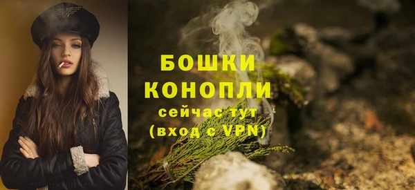 сатива Абаза