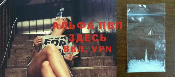 сатива Абаза