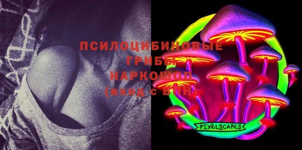 мдпв Инсар