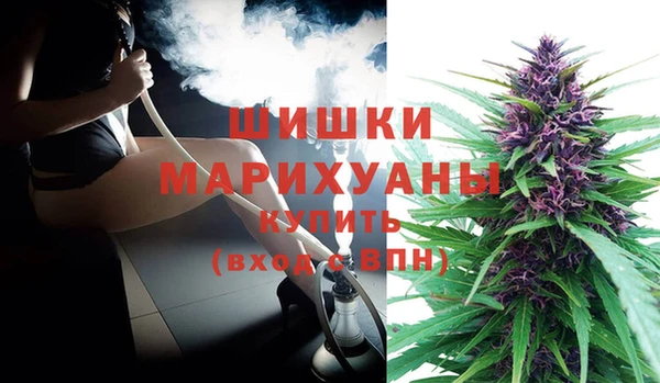 сатива Абаза