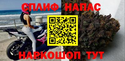 прущие грибы Нальчик