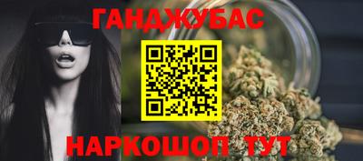 прущие грибы Нальчик