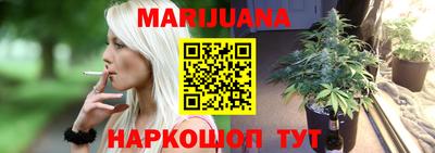 прущие грибы Нальчик