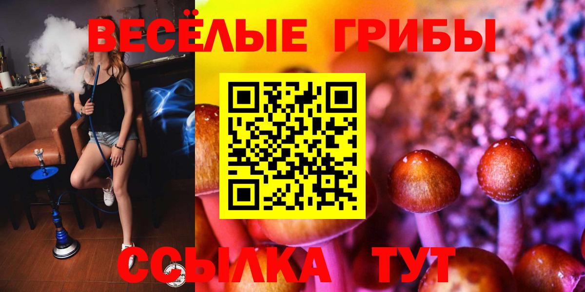 Псилоцибиновые грибы Magic Shrooms Ярославль