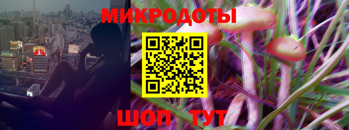 Псилоцибиновые грибы Psilocybe  Вход с VPN  Ярославль 